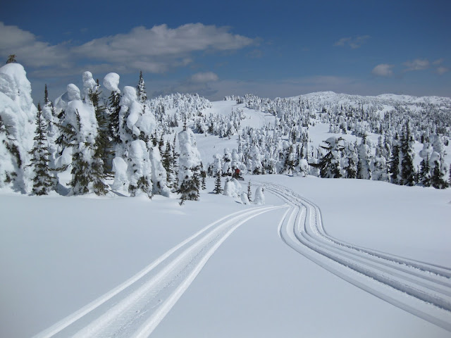 DHylands-Winter-Countryside.jpg